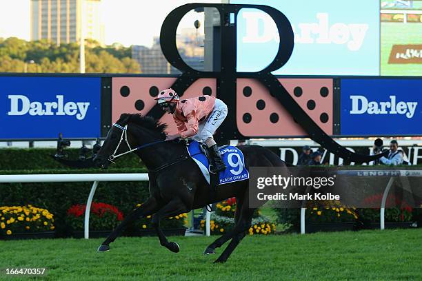 Luke Nolan rides "Black Caviar" to win race 9 the Darley TJ Smith Stakes on Australian Derby Day at Royal Randwick Racecourse on April 13, 2013 in...