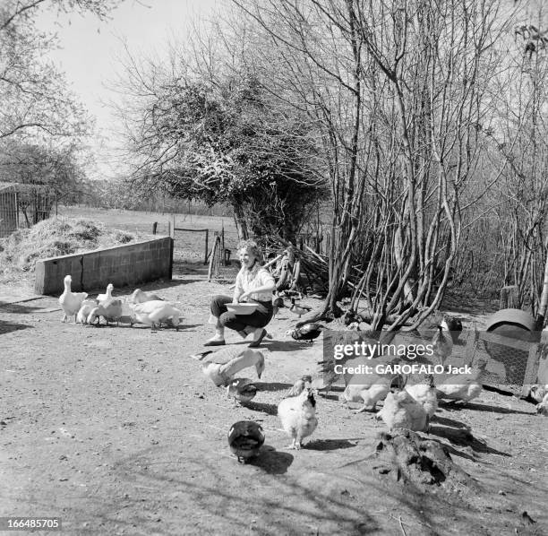 Rendezvous With Dany Robin. France, Montfort-L'Amaury, avril 1954, l'actrice française Dany ROBIN revient des Etats-Unis. De tous ses voyages, elle...