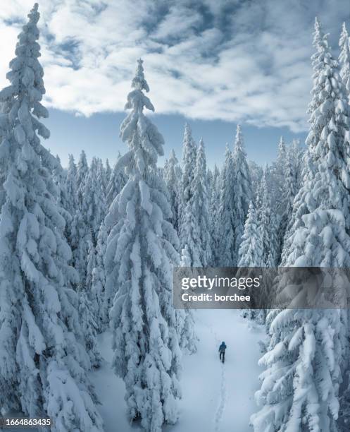 hiking in white forest - slovenia winter stock pictures, royalty-free photos & images