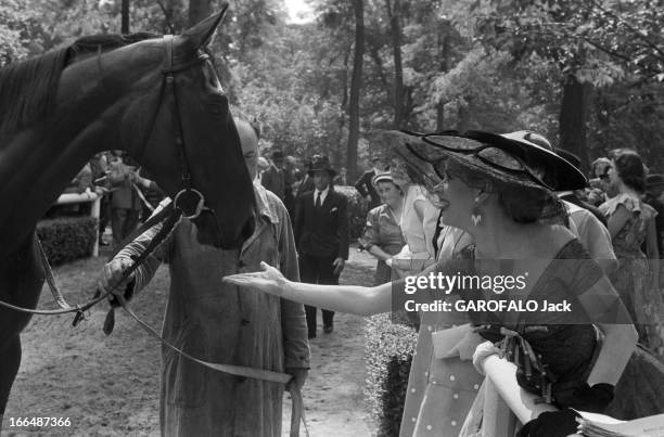 Equestrian Sport The Drags Prize At Auteuil. En France , le 24 juin 1955, le Prix des Drags, course d'obstacles en Steeple-chase qui se dispute sur...