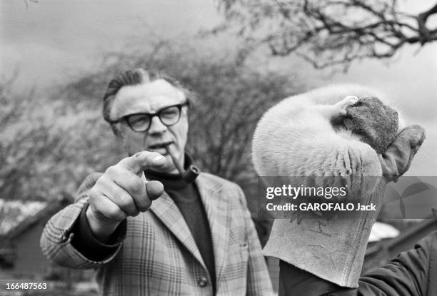 Mink Breeding Farm For In South Ireland. Irlande du Sud, 4 mars 1975, un éleveur a installé son entreprise à la campagne, il élève des visons. Ici au...