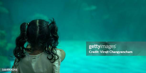 young child interested in the underwater world - ciutat de les arts i les ciències stock pictures, royalty-free photos & images