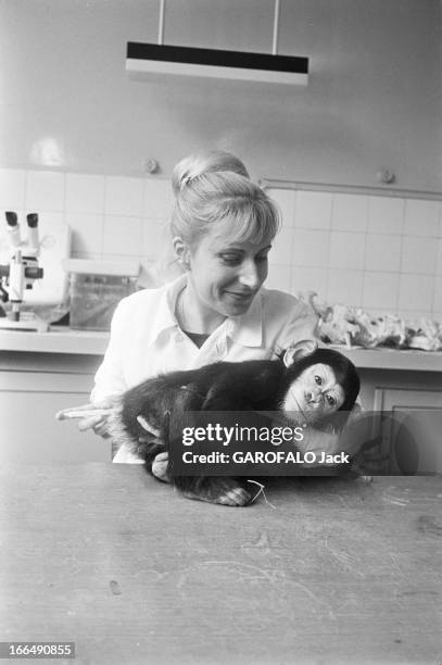 Meeting With Maryvonne Leclerc-Cassan, Veterinary At The Vincennes Zoo. France, Vincennes, 7 avril 1978, Maryvonne LECLERC-CASSAN est vétérinaire au...