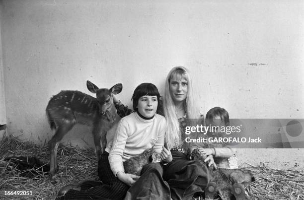 Meeting With Maryvonne Leclerc-Cassan, Veterinary At The Vincennes Zoo. France, Vincennes, 7 avril 1978, Maryvonne LECLERC-CASSAN est vétérinaire au...