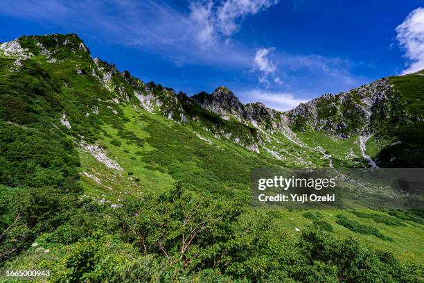 japanese high mountain scenery in summer - senjojiki cirque stock pictures, royalty-free photos & images