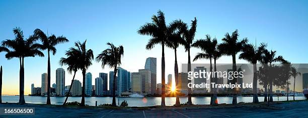 miami skyline viewed over marina - miami stock pictures, royalty-free photos & images