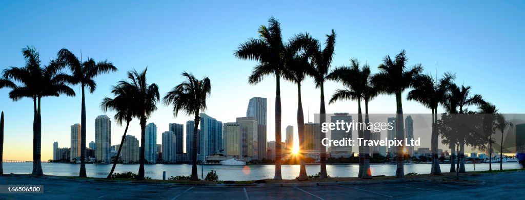 Miami skyline viewed over marina