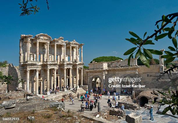 Celcus 89 Celcus Stock Photos, High-Res Pictures, and Images - Getty Images
