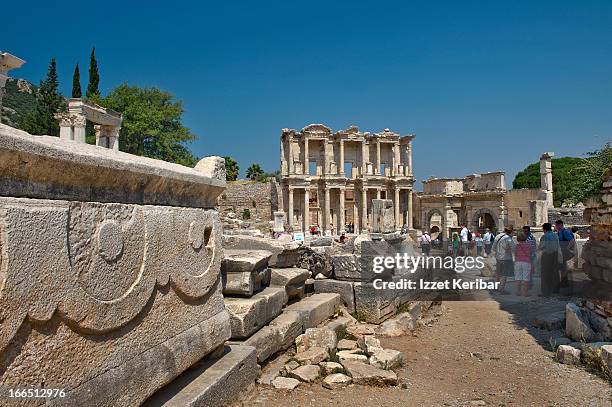 Celcus Celcus Photos and Premium High Res Pictures - Getty Images