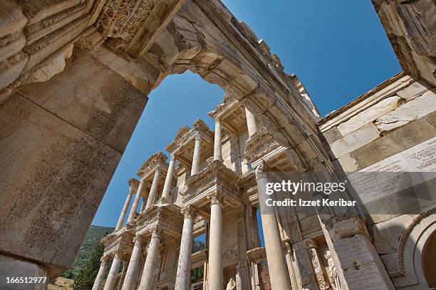 Celcus Celcus Photos and Premium High Res Pictures - Getty Images