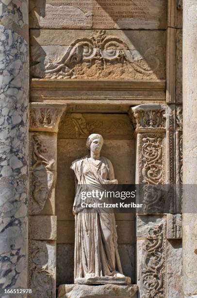 Celcus Celcus Photos and Premium High Res Pictures - Getty Images