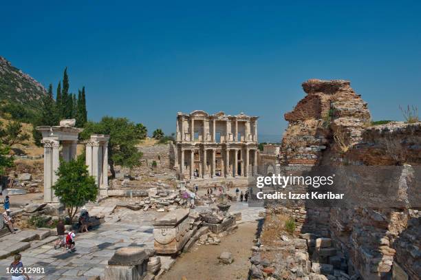 Celcus Celcus Photos and Premium High Res Pictures - Getty Images