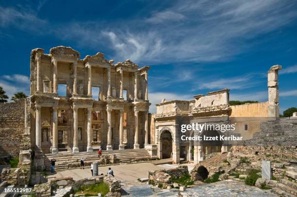 Celcus Celcus Photos and Premium High Res Pictures - Getty Images