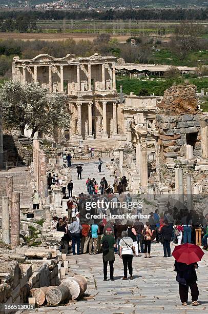 Celcus Celcus Photos and Premium High Res Pictures - Getty Images