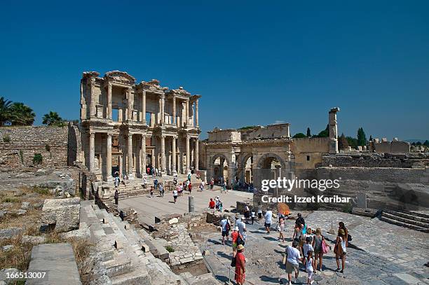 Celcus Celcus Photos and Premium High Res Pictures - Getty Images