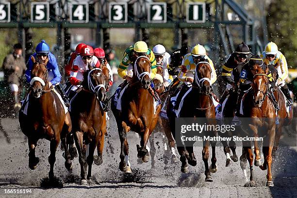 Horses head down the front stretch during the 89th Toyota Blue Grass Stakes at Keenland Race Course on April 13, 2013 in Lexington, Kentucky.