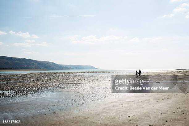 couple walking on beach with dog, north wales. - avlägsen bildbanksfoton och bilder