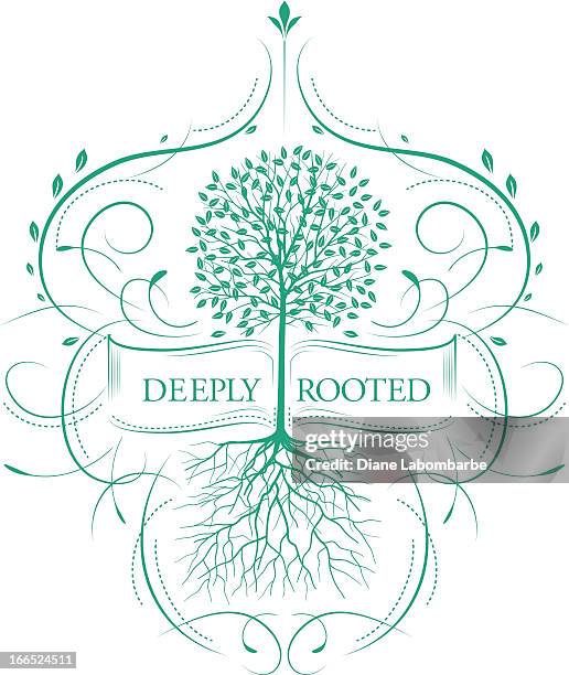 Tree Root Letter R 524 Tree Root Letters Stock Photos, High-Res Pictures, and Images ...