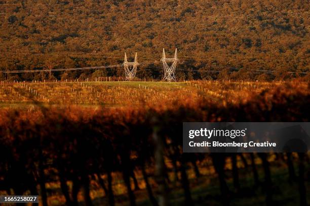 electricity pylons near a vineyard - vineyard new south wales stock pictures, royalty-free photos & images