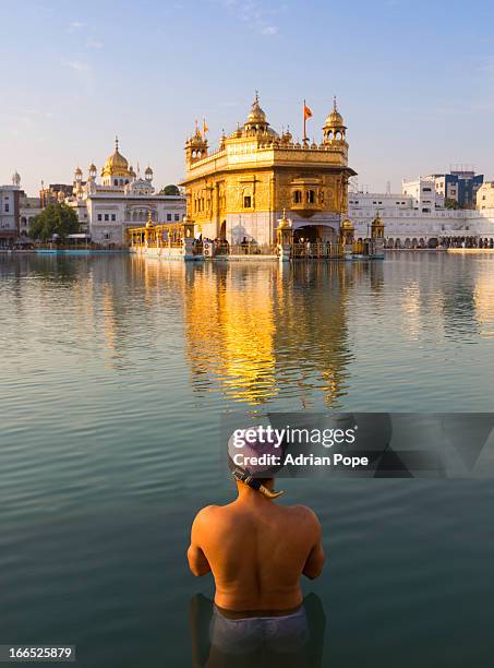 sikh praying at golden temple amritsar - amritsar stock-fotos und bilder