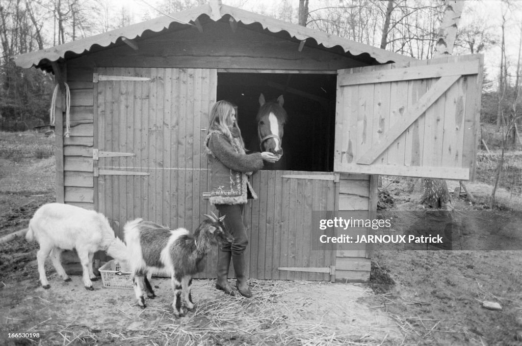 Brigitte Bardot And Her Animals In Bazoches