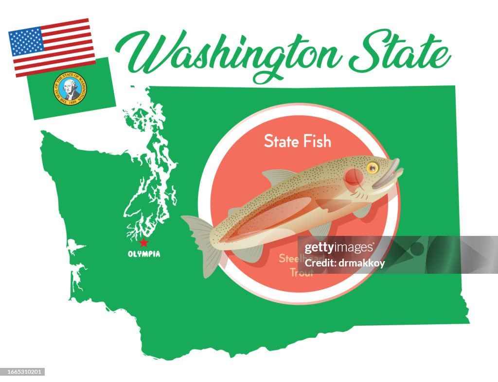 Washington State Steelhead trout
(Oncorhynchus mykiss)