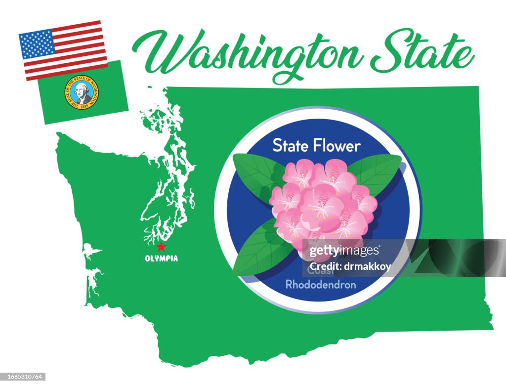 Washington State Flower, Pacific rhododendron