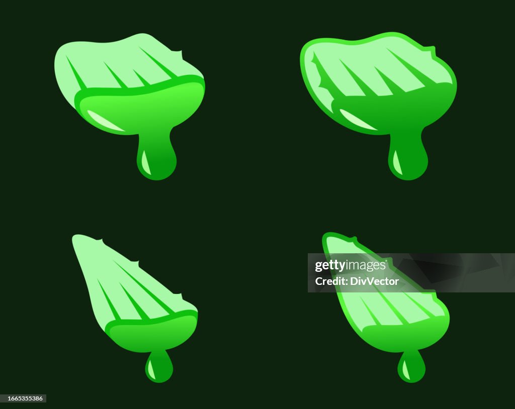 Aloe vera vector icon