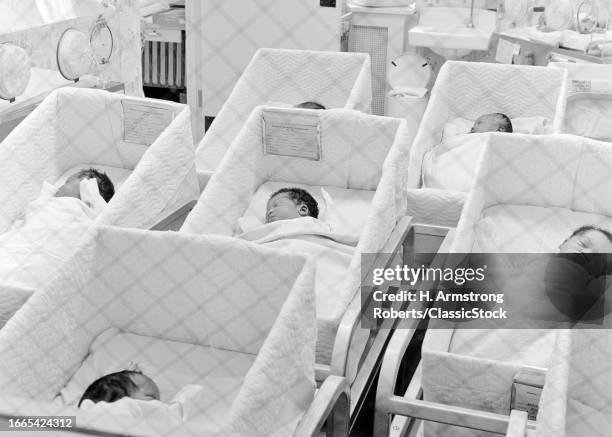 1960s Newborn babies lying in individual cribs in hospital nursery.
