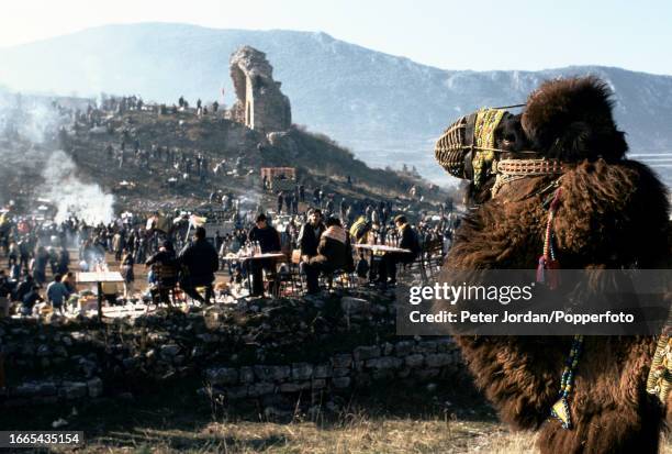 Camel watches as spectators eat at tables in the arena during the annual Yoruk camel wrestling festival held in a stadium beside the ancient city of...