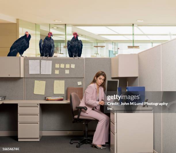 vultures watching hispanic businesswoman at desk - cubicle photos et images de collection