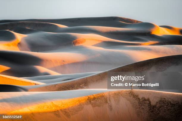 tourist on top of massive sand dunes at sunset - bucht walvis bay stock-fotos und bilder