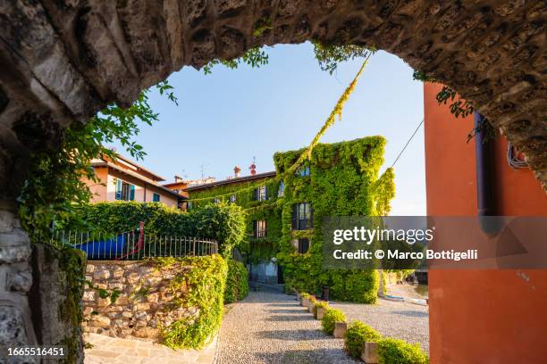 courtyard with house wall covered with ivy on lake como, italy - bellagio gardens stock pictures, royalty-free photos & images