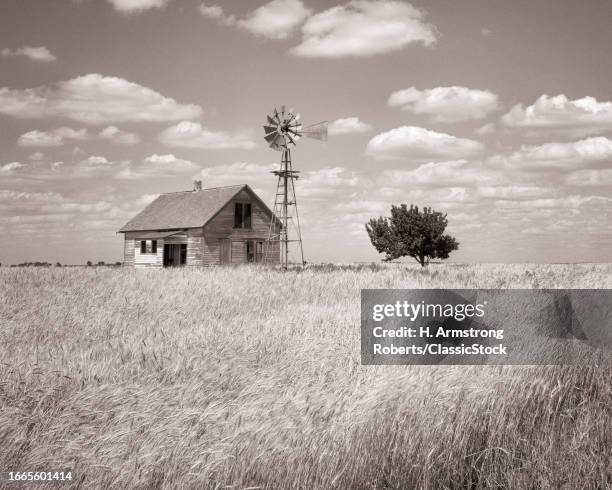 1970s Abandoned farmhouse and windmill on prairie in midst of wheat field kansas USA.