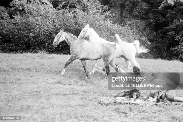 Curd Jurgens Marries Simone Bicheron. Allemagne Fédérale- 17 Septembre 1958- Dans la forêt Rhénane, lors de leur lune de miel, l'acteur de cinéma...