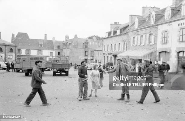 The Artichoke War In Britain. A Saint-Pol-de-Léon en juin 1962. La guerre de l'artichaut éclate, plutôt que de baisser leur prix, 2000 producteurs...