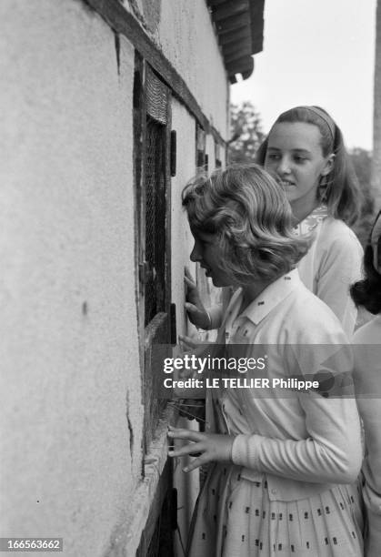 Princess Anne Of England. 1962, le 6 juillet, portrait de la princesse Anne d'Angleterre, seule fille du prince Philip, duc d'Edimbourg et de la...