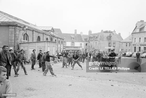 The Artichoke War In Britain. A Saint-Pol-de-Léon en juin 1962. La guerre de l'artichaut éclate, plutôt que de baisser leur prix, 2000 producteurs...