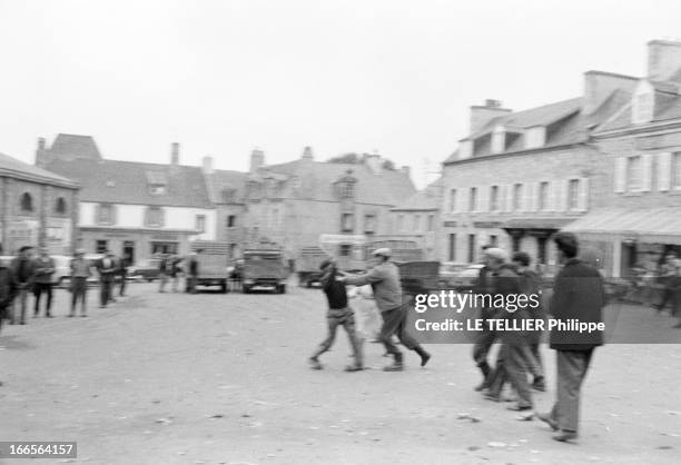 The Artichoke War In Britain. A Saint-Pol-de-Léon en juin 1962. La guerre de l'artichaut éclate, plutôt que de baisser leur prix, 2000 producteurs...