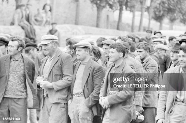 The Artichoke War In Britain. A Saint-Pol-de-Léon en juin 1962. La guerre de l'artichaut éclate, plutôt que de baisser leur prix, 2000 producteurs...