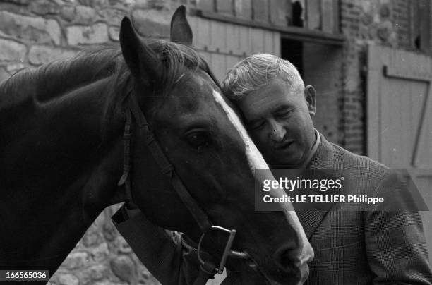 Sale Of Algerian 'Spahis' Horses. En France, dans une cour de ferme, un homme caressant la tête d'un cheval, acheté à une vente de chevaux des spahis...