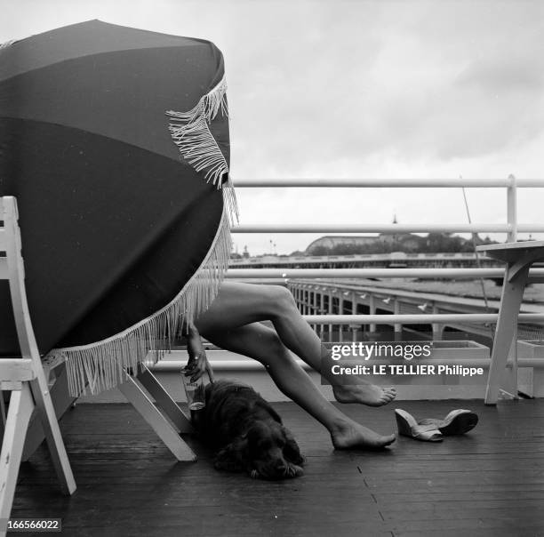 Legs. A Paris, sur la terrasse d'un solarium, vue en extérieur des jambes nues d'une femme, assise sous un parasol, en présence d'un chien couché à...