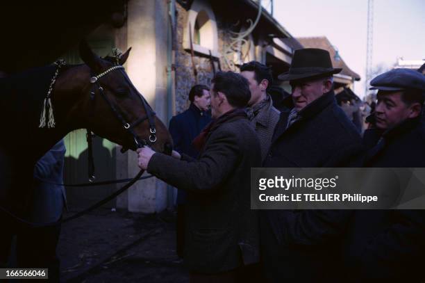 The Grand Prix Of America 1963. En Janvier 1963, sur l'hippodrome de Vincennes, dans le paddock, un homme en manteau tenant la tête d'un cheval par...