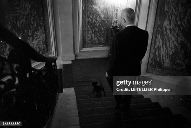 The Minister Of The Interior Roger Frey. A Paris, Roger FREY, ministre de l'Intérieur, descendant un escalier accompagné de son chien, dans les...