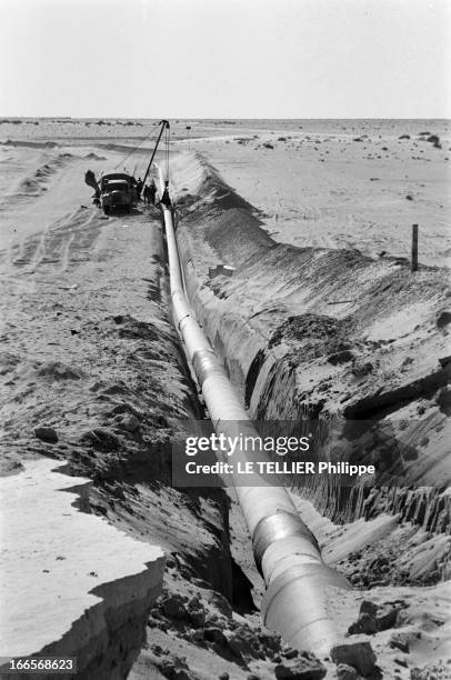 Construction Of Pipe Line. En 1958, dans le désert du Sahara, pose de canalisation sur le chantier d'un pipeline mis en place pour acheminer le...