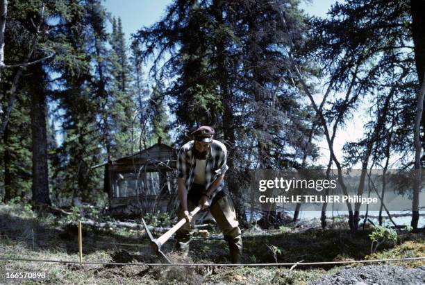 Alaska. Aux Etats-Unis, dans l'Alaska, en septembre 1969, lors d'un reportage dans l'Etat, un trappeur portant un casquette et une chemise à...
