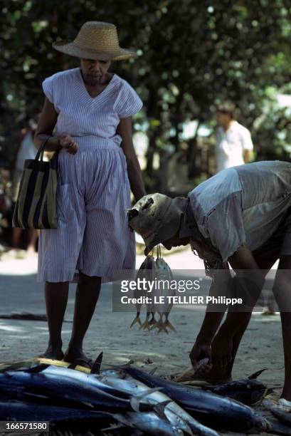 Tourism In The Seychelles Islands. Aux Seychelles, en 1972, une femme avec un chapeau de paille et un sac à provision, tenant des poissons à la main,...