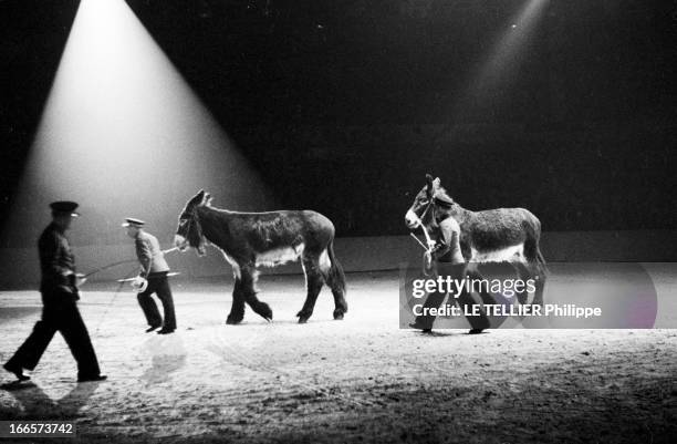 Horse Riding Jumping. Une compétition de saut d'obstacle en salle. Deux hommes font défiler deux chevaux sur la piste.