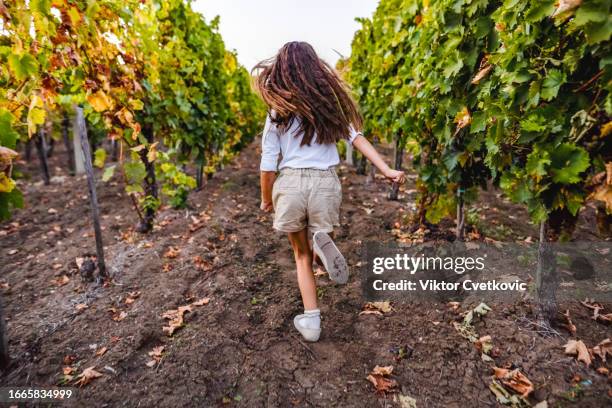 young girl running through vineyard - girl running back stock pictures, royalty-free photos & images