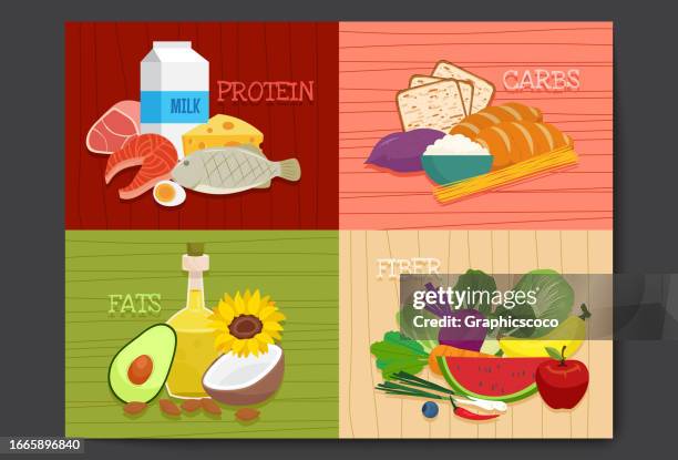 ilustraciones, imágenes clip art, dibujos animados e iconos de stock de conjunto de principales grupos de alimentos, macro y micronutrientes. grasas, fibra o celulosa, carbohidratos y proteínas - membrana celular